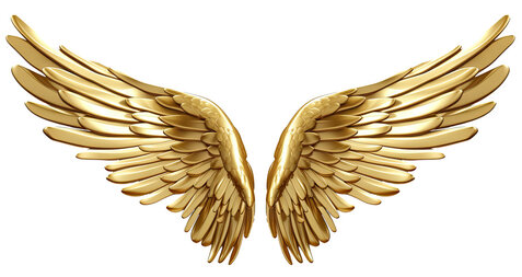 angel wing ii